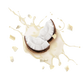 Splash Image