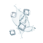 Splash Image